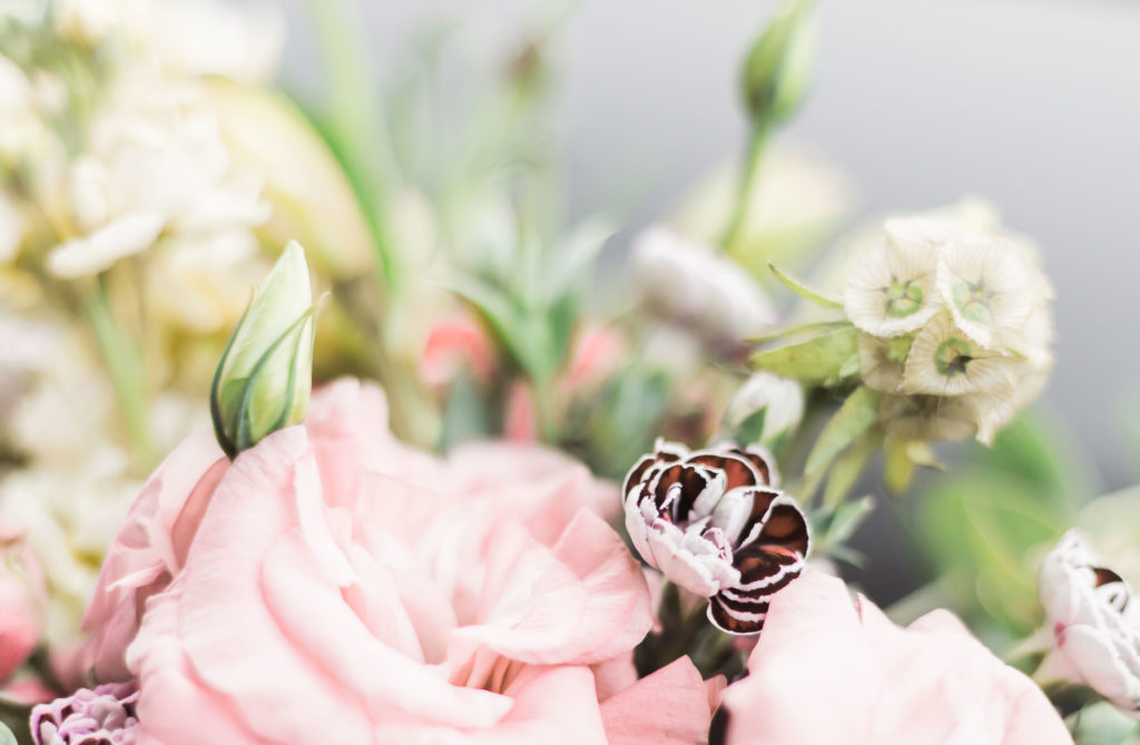 Beautiful pink flowers